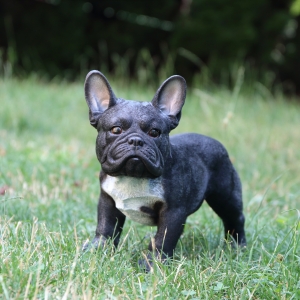 Dekorácia do záhrady buldoček 33cm