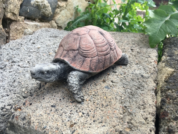 Dekorácia do záhrady korytnačka 11,5x18,5x8cm