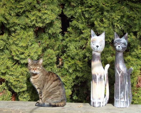 Dekorácia mačka tmavo hnedá 60cm