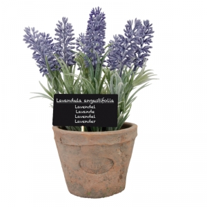 Dekorácie levandule v kvetináči