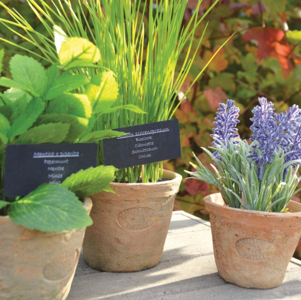 Dekorácie levandule v kvetináči