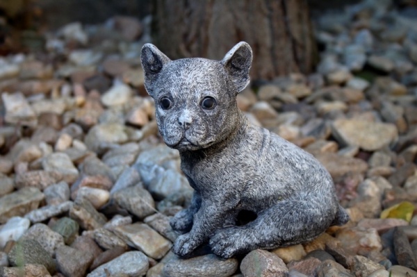 Dekorácia pes na záhradu 14x8x15cm