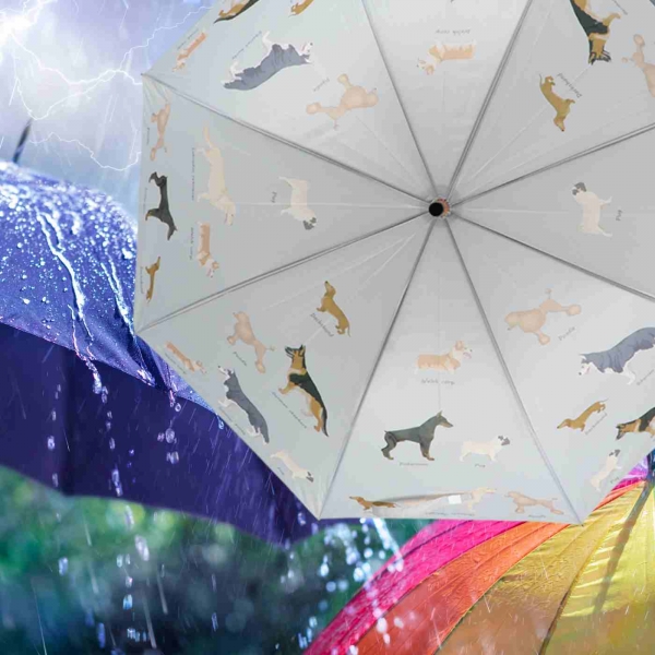 Dáždnik 120x95 cm s plemenami psov