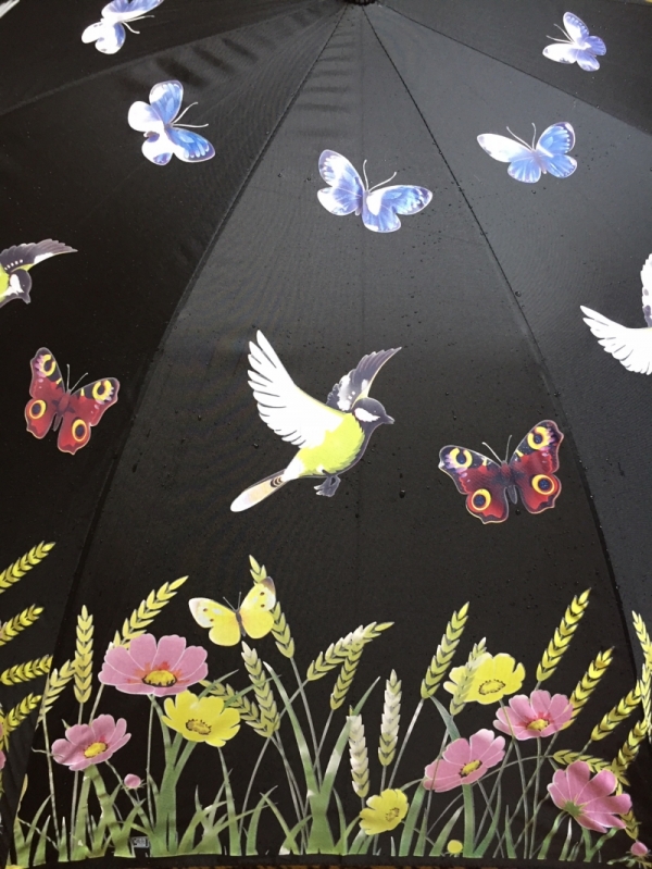 Dáždnik meniací farbu lúka 116,5x116,5x91,2cm