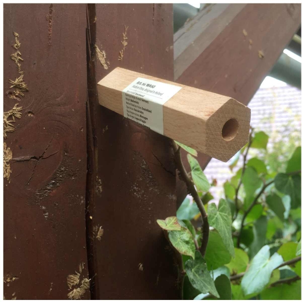Domček pre divokú včelu 6 komôrok