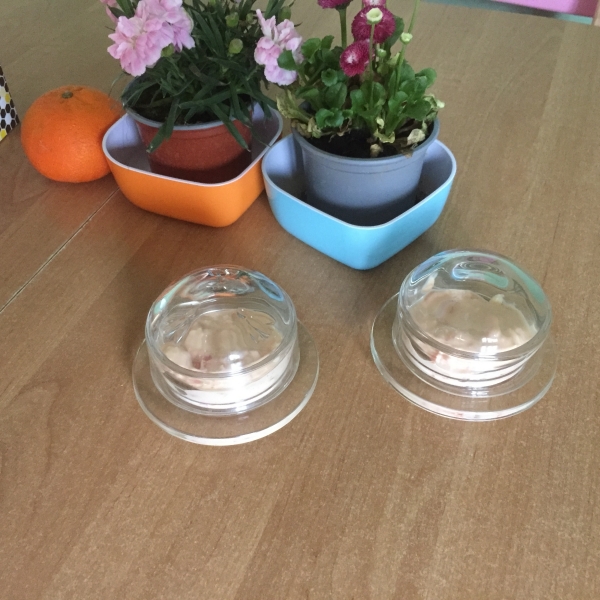 Dóza na máslo sklenená Libellules 7,5cm