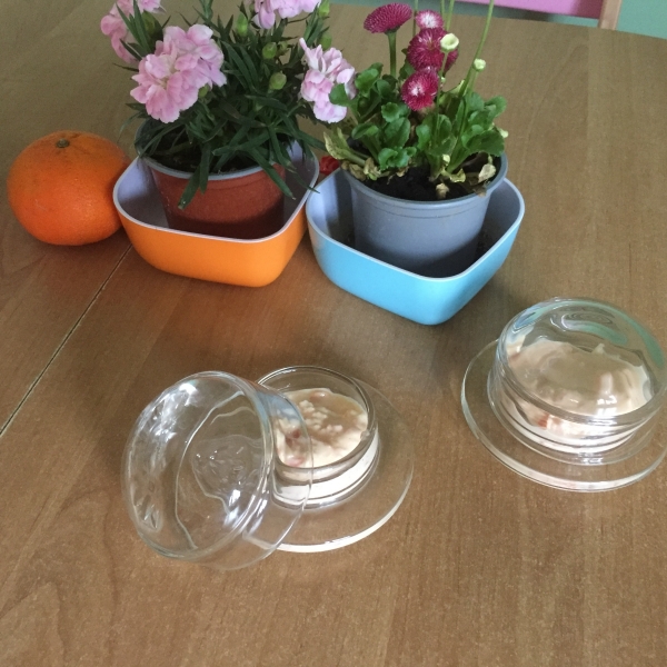 Dóza na máslo sklenená Libellules 7,5cm