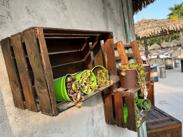 Drevená bednička Home Sweet Home 39x29x23cm