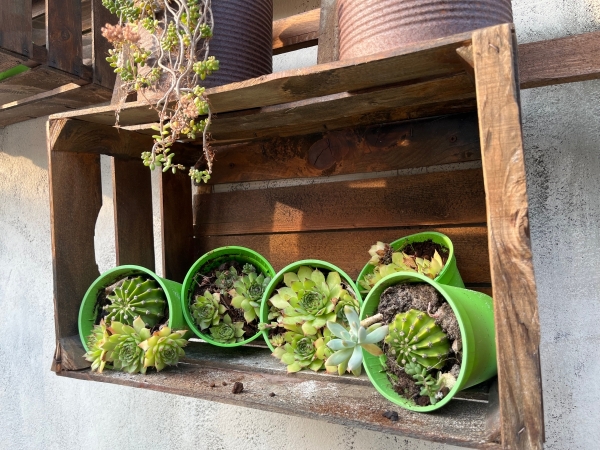 Drevená bednička Home Sweet Home 39x29x23cm