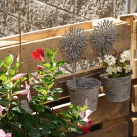 Dvojitý kvetináč Gerbera pr. 15cm