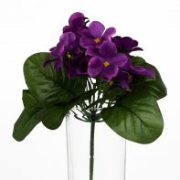 Fialka 26cm