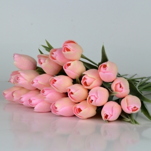 Francúzsky tulipán jemne ružový