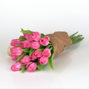 Francúzsky tulipán ružovo-biely 40cm