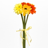 Gerbera oranžová - zväzok 7kusov 38cm
