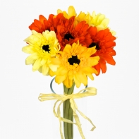 Gerbera oranžová - zväzok 7kusov 38cm