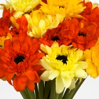 Gerbera oranžová - zväzok 7kusov 38cm