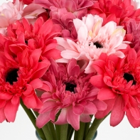 Gerbera ružová - zväzok 7kusov 38cm