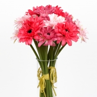 Gerbera ružová - zväzok 7kusov 38cm