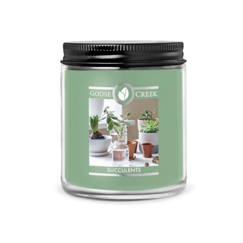 GOOSE CREEK 0,2 KG SUCCULENTS