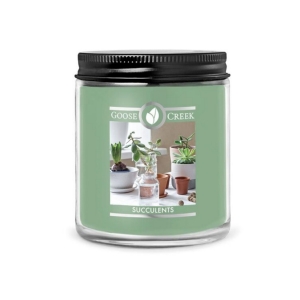 GOOSE CREEK 0,2 KG SUCCULENTS