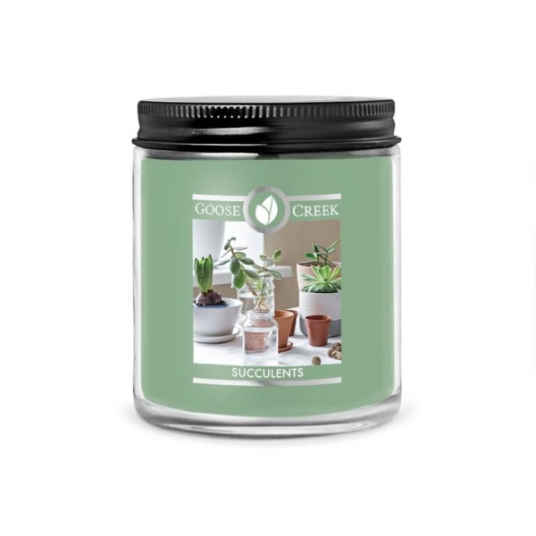 GOOSE CREEK 0,2 KG SUCCULENTS