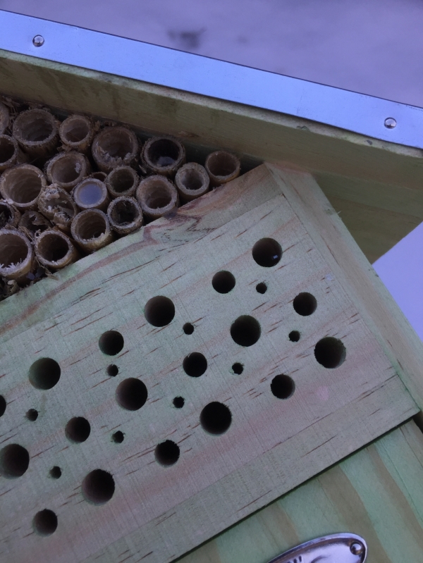 Hmyzie domček 31,4x14,9x48,3cm