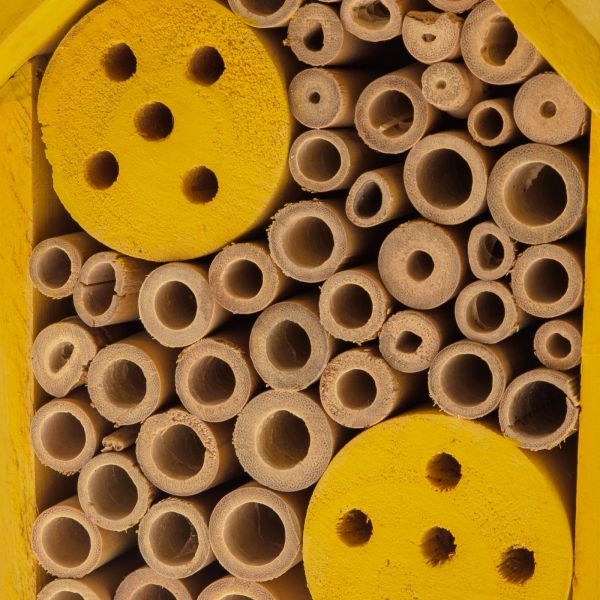 Hmyzí hotel s polpenziou