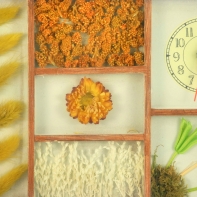 Hodiny nástenné do kuchyne 22x28cm