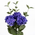 Hortenzia modrá 54cm