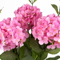 Hortenzia ružová 54cm