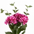 Hortenzia sýto ružová 54cm