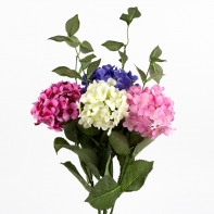 Hortenzia sýto ružová 54cm