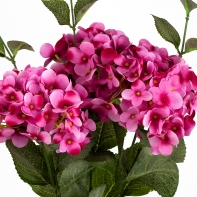 Hortenzia sýto ružová 54cm