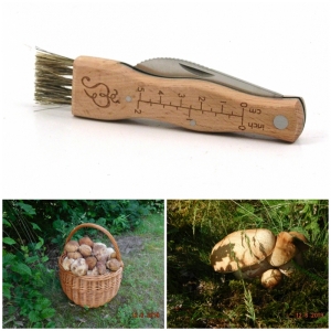 Hubársky nôž 21cm