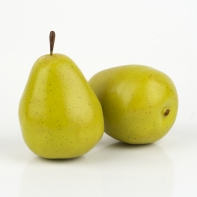 Hruška zelená 10cm