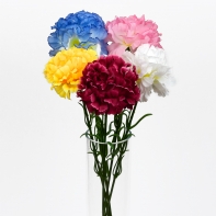 Karafiát ružový 46cm