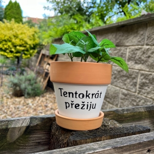 Keramický kvetináč s podmiskou 13x12, 5cm