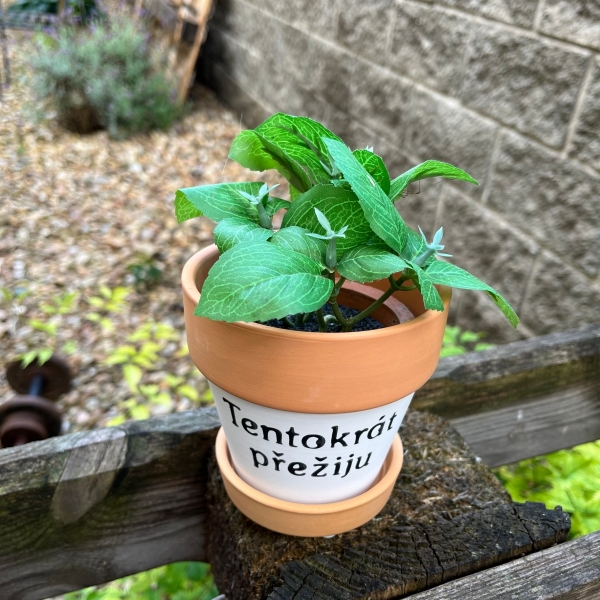 Keramický kvetináč s podmiskou 13x12, 5cm