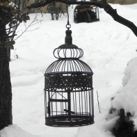 Klietka na vtáčika retro 47cm