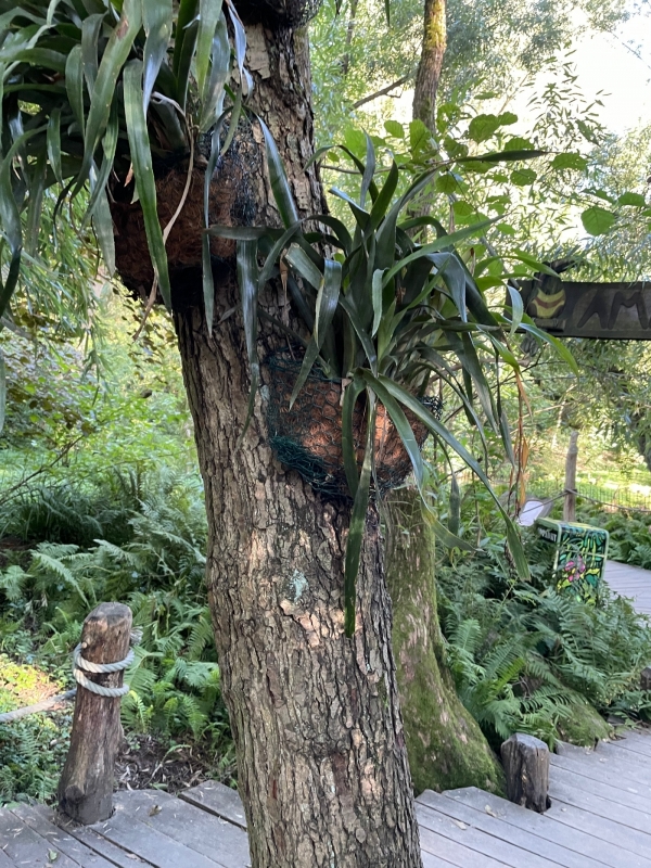 Kokosové vlákno do kvetináča polkruhové 52 x 40,5 cm