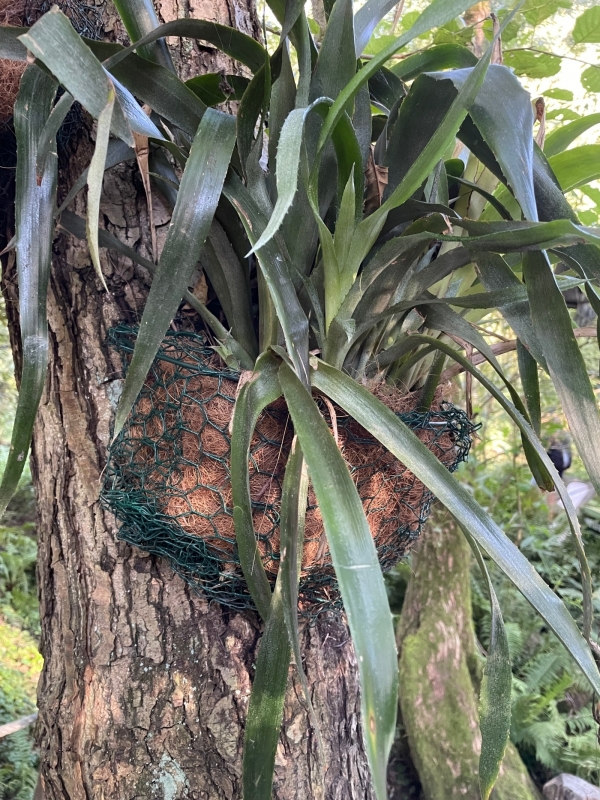 Kokosové vlákno do květináče tvarované 72,4x20,8x22cm