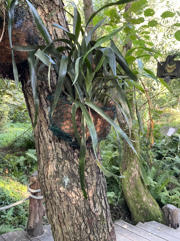 Kokosové vlákno do květináče tvarované 72,4x20,8x22cm