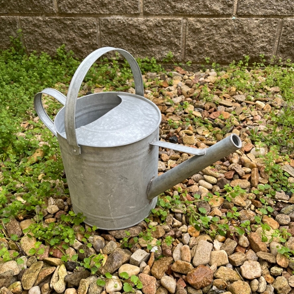 Kanva pozink 6,6 ltr