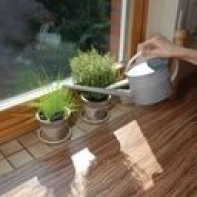 Kanvička na zalievanie 1,2 l