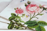 Korková podložka ruže 40 × 30 cm (sada 4 ks)