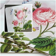 Korková podložka ruže 40 × 30 cm (sada 4 ks)