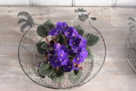 Košíček na vajíčka sliepky šedý veľký 30,5cm