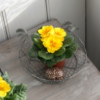 Košík sliepky šedý strednej 22x22x4,5cm