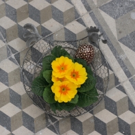 Košík sliepky šedý strednej 22x22x4,5cm