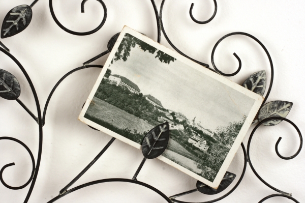 Kovová dekorácia na stenu strom 78x79cm